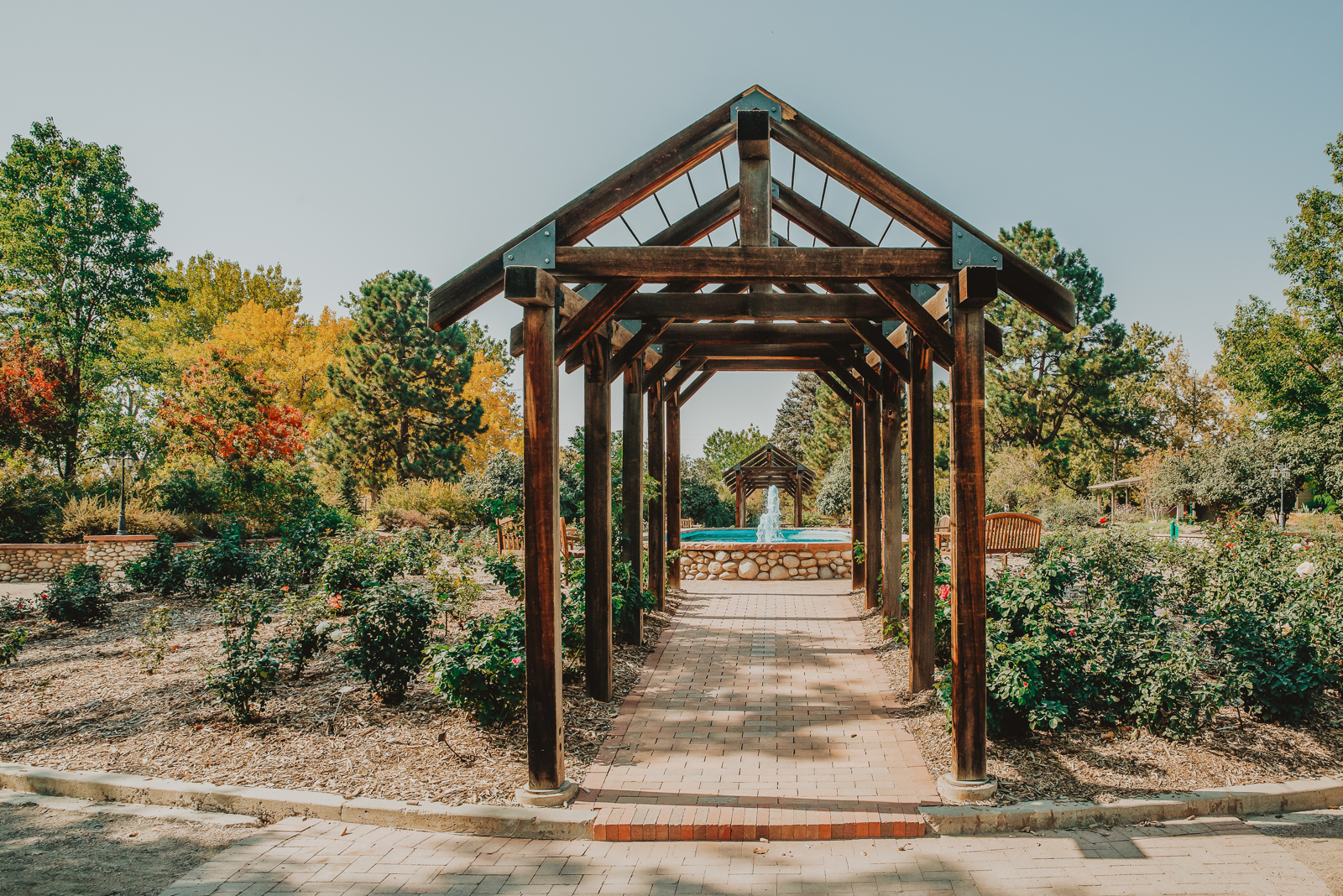 Couple walking together through Hudson Gardens pathways surrounded by green foliage