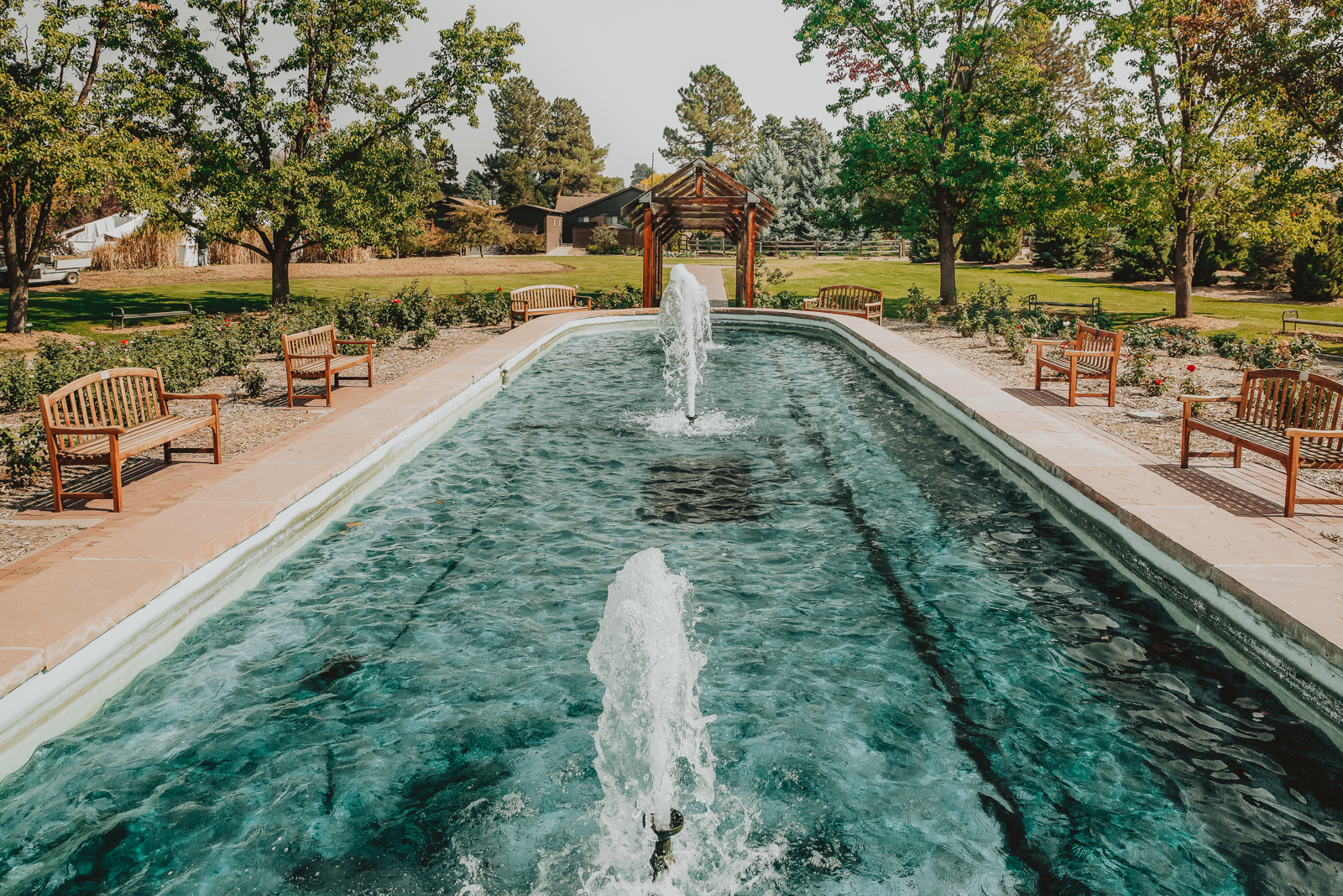 Couple posing in Hudson Gardens with lush green foliage and flowering plants in background