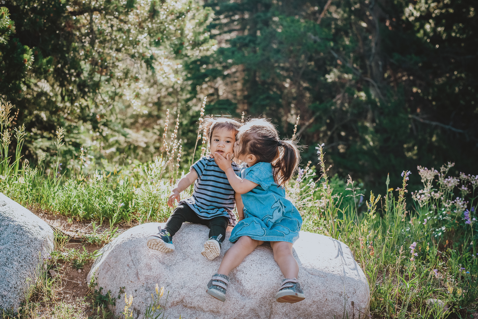 Family hugging together with aspen trees and mountain meadow as scenic background