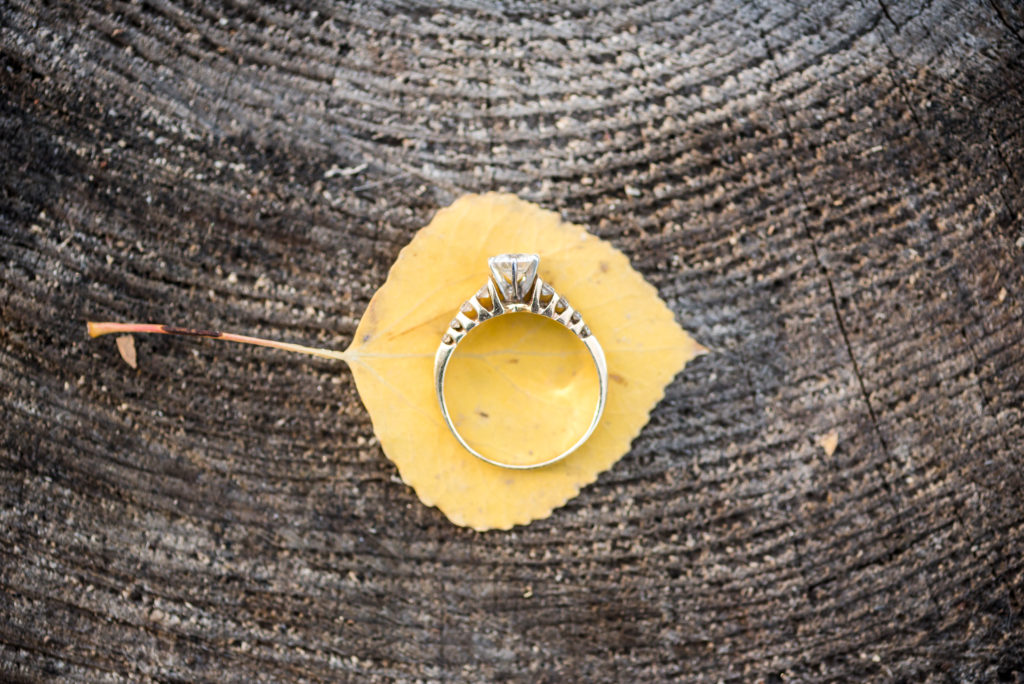 Tips to Plan the Perfect Surprise Wedding Proposal Photos Outdoor Nature Ring Shot picture | From the Hip Photo Denver Colorado portrait photography 