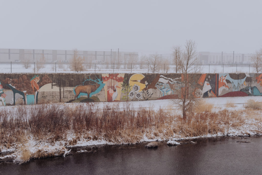 Central Park Denver Colorado outdoor nature creek neighborhood t picture | From the Hip Photo portrait photography 