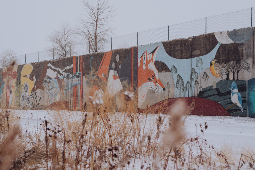 Central Park Denver Colorado outdoor nature creek neighborhood t picture | From the Hip Photo portrait photography 
