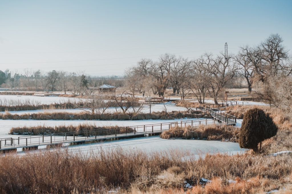 Rocky Mountain Arsenal Lake Mary Trail outdoor park trail nature candid wildlife landscape picture | From the Hip Photo Denver Colorado portrait photography 