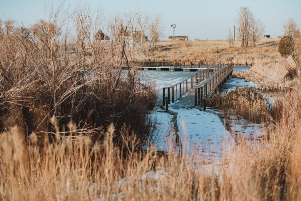 Rocky Mountain Arsenal Lake Mary Trail outdoor park trail nature candid wildlife landscape picture | From the Hip Photo Denver Colorado portrait photography 