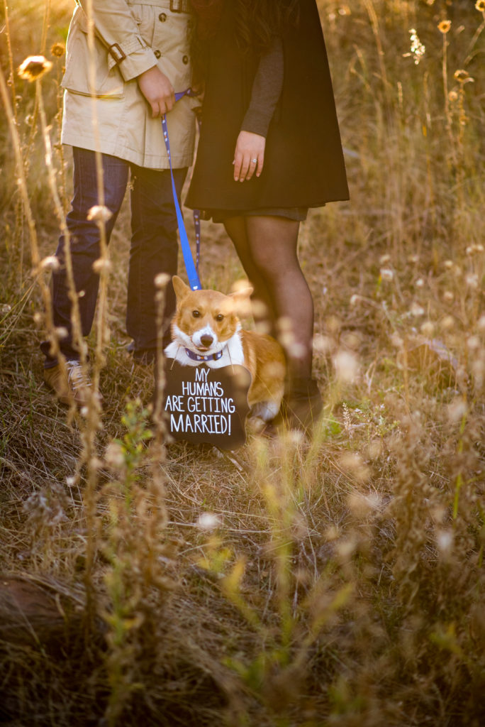 Tips to Plan Engagement Photos in the Mountains Near Denver Romantic Couple picture Lookout Mountain | From the Hip Photo Portrait Photography