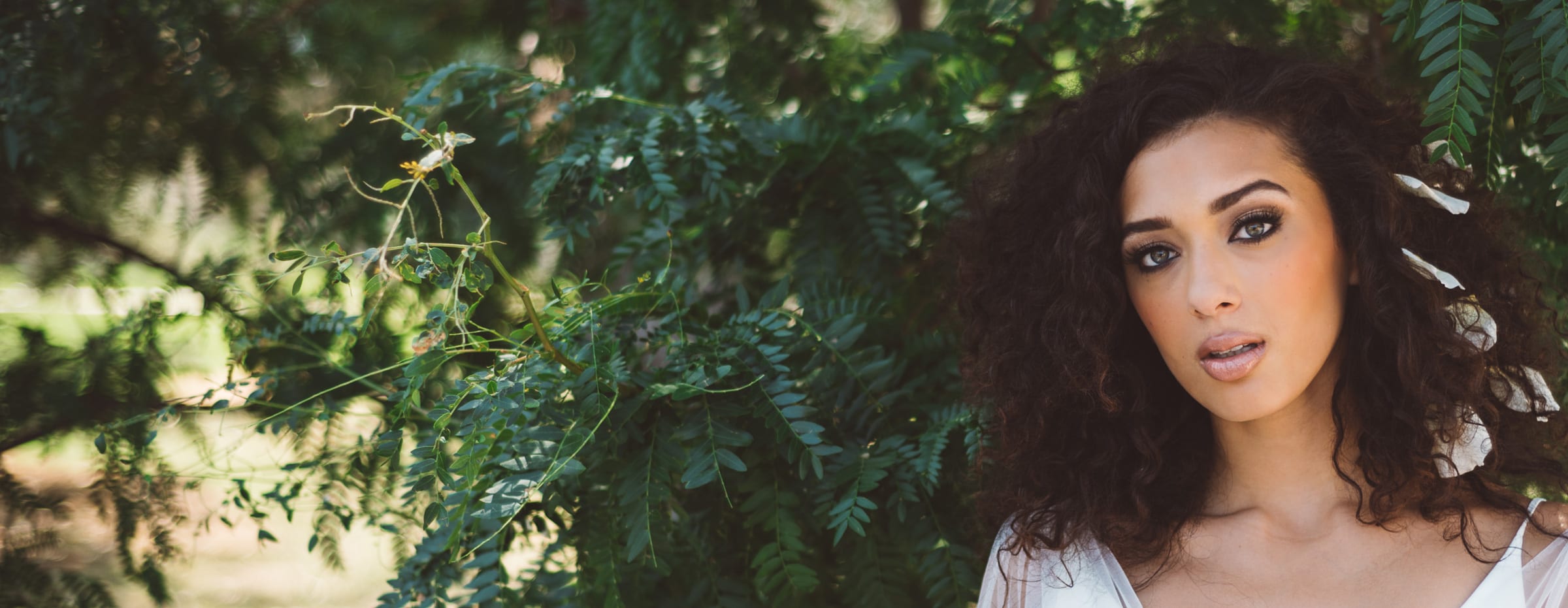 header parallax image