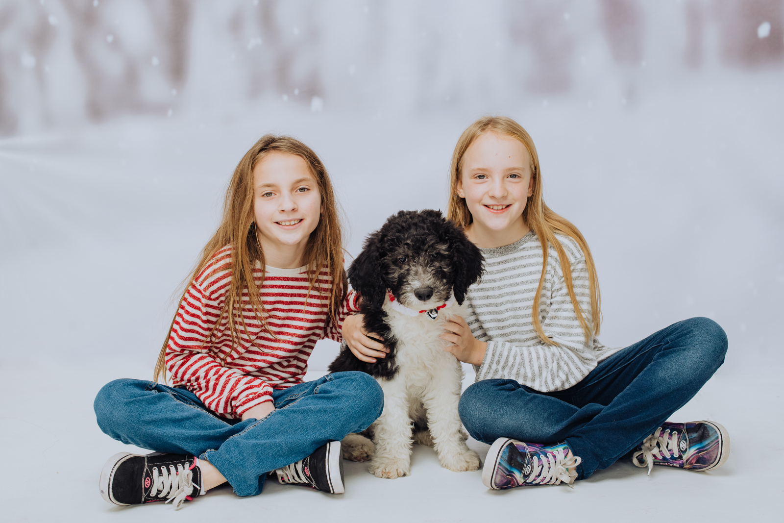 Family with dog enjoying holiday photo session during Denver winter celebration with festive decorations