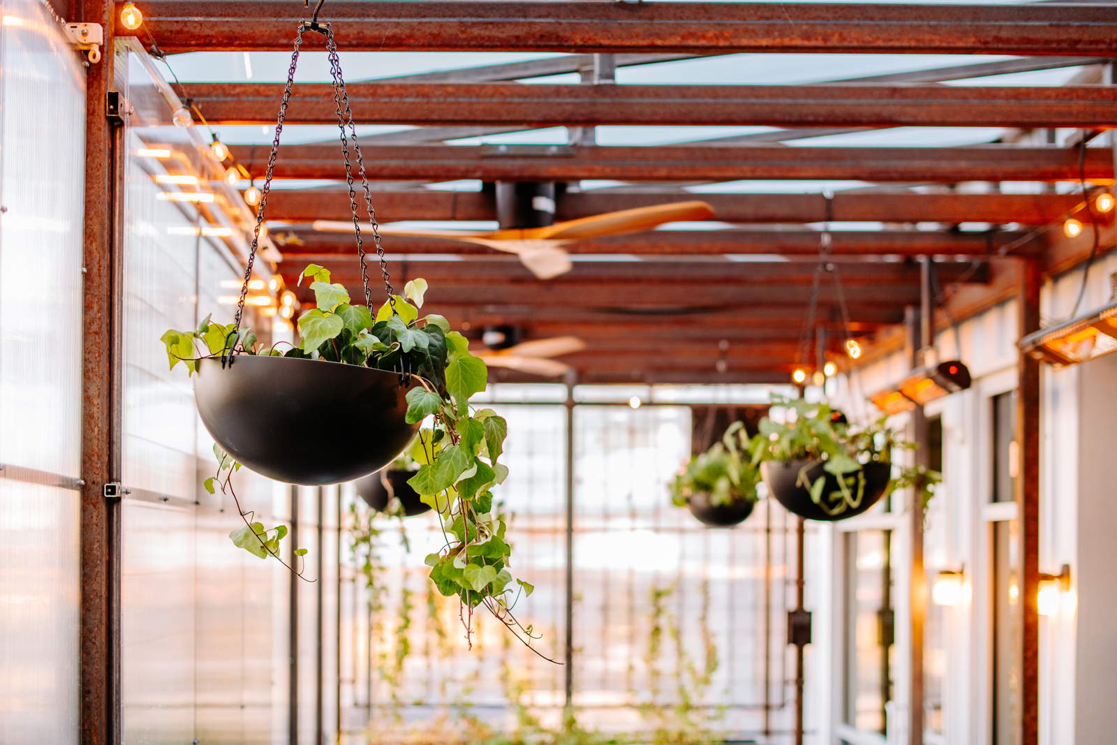 Denver Restaurant Photography