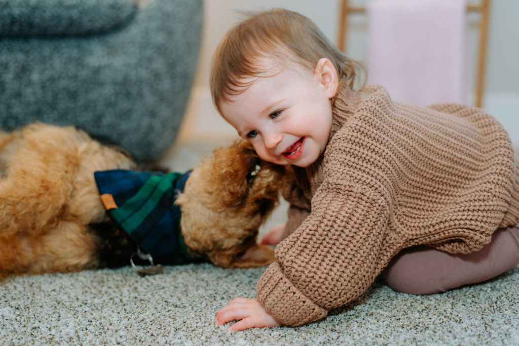 Colorado Fall Family Photo Tips | Child plays with puppy with muted colors